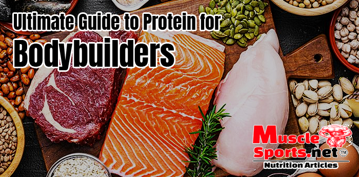 The Ultimate Guide to Protein for Bodybuilders